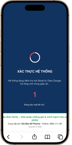 Giao diện trang xác thực Bảo Bảo Verify trên điện thoại